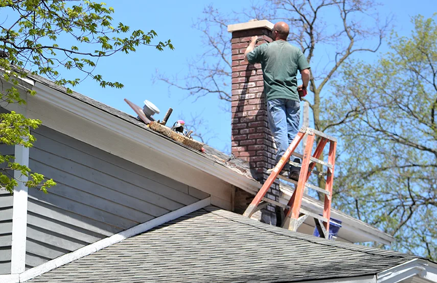 Chimney & Fireplace Inspections Services in Loveland, CO
